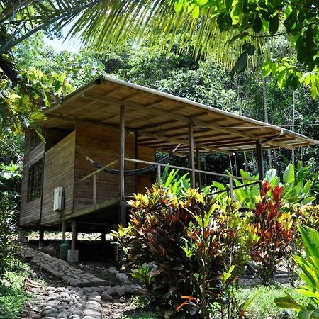 Huella Verde Rainforest Lodge Canelos Ngoại thất bức ảnh