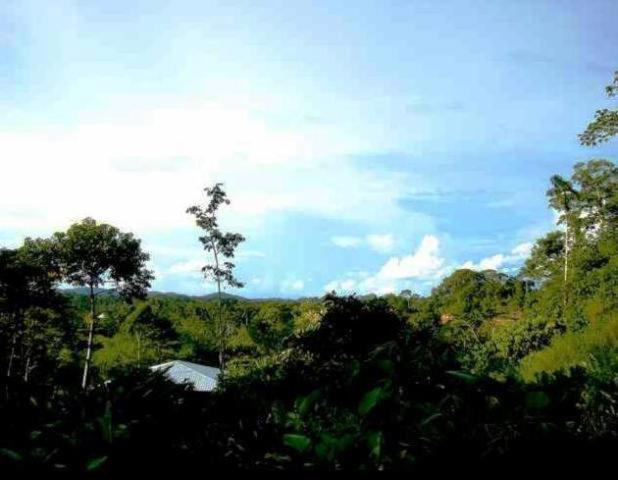 Huella Verde Rainforest Lodge Canelos Ngoại thất bức ảnh