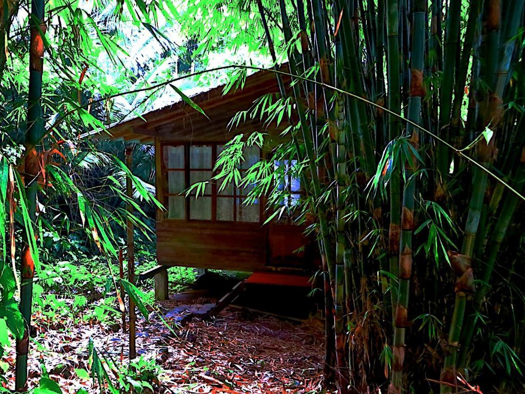 Huella Verde Rainforest Lodge Canelos Phòng bức ảnh