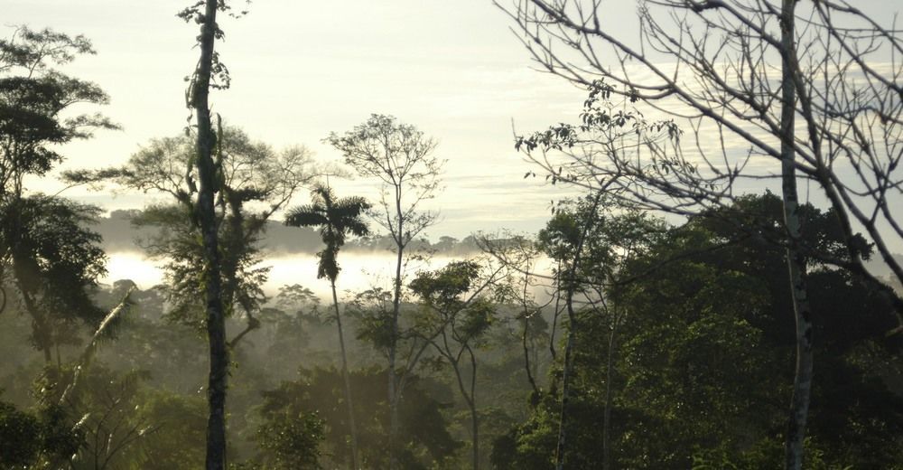 Huella Verde Rainforest Lodge Canelos Ngoại thất bức ảnh