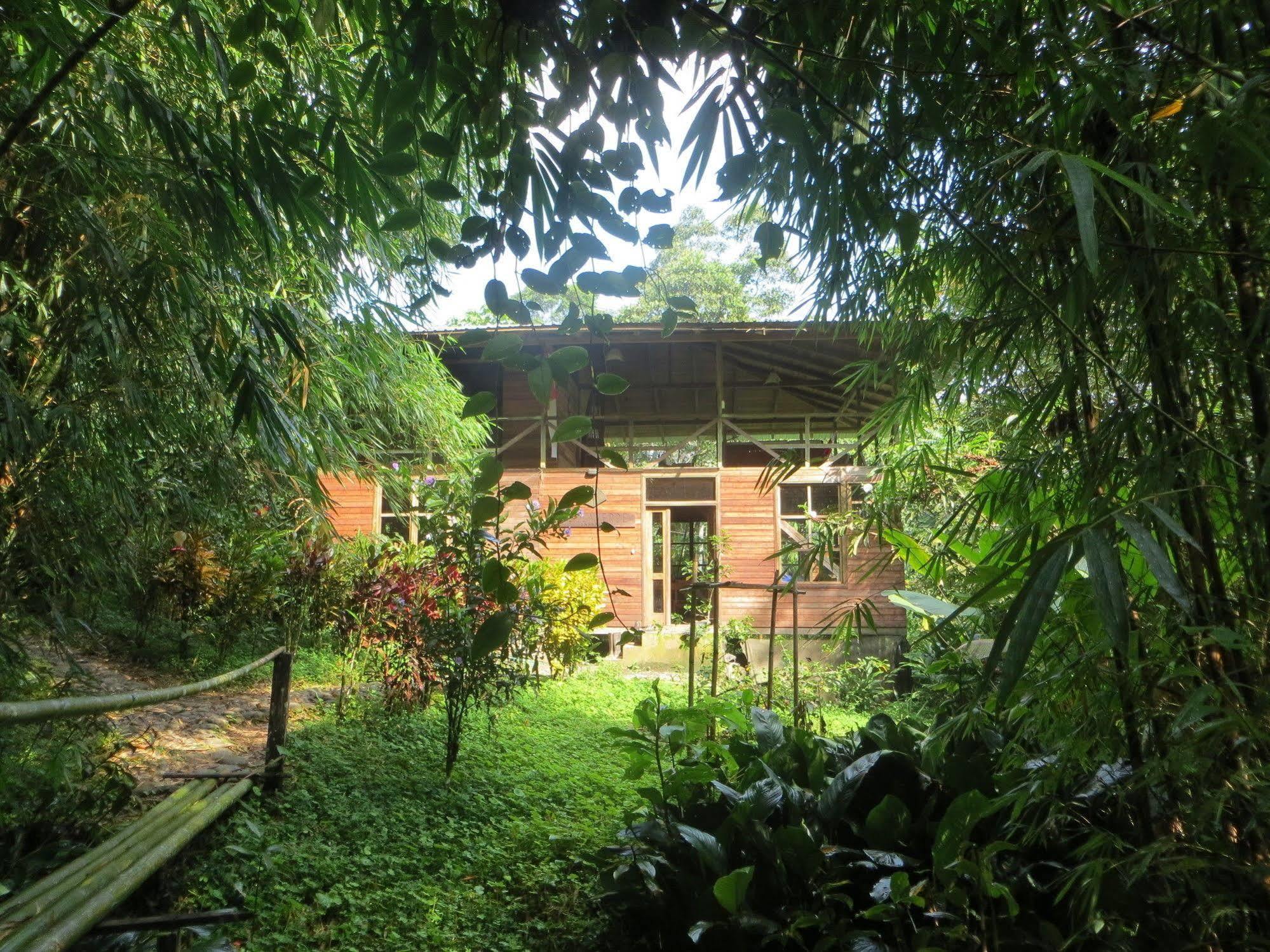 Huella Verde Rainforest Lodge Canelos Ngoại thất bức ảnh