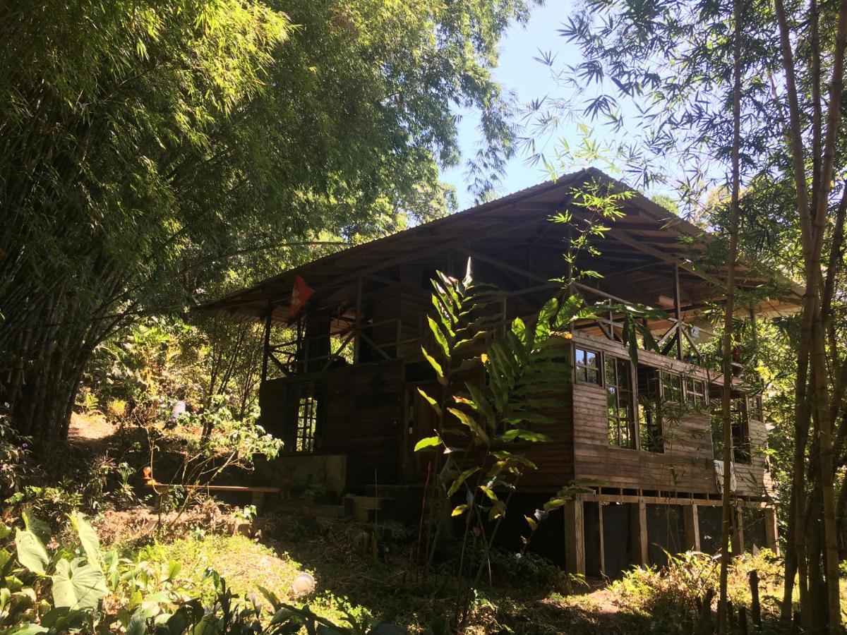 Huella Verde Rainforest Lodge Canelos Ngoại thất bức ảnh