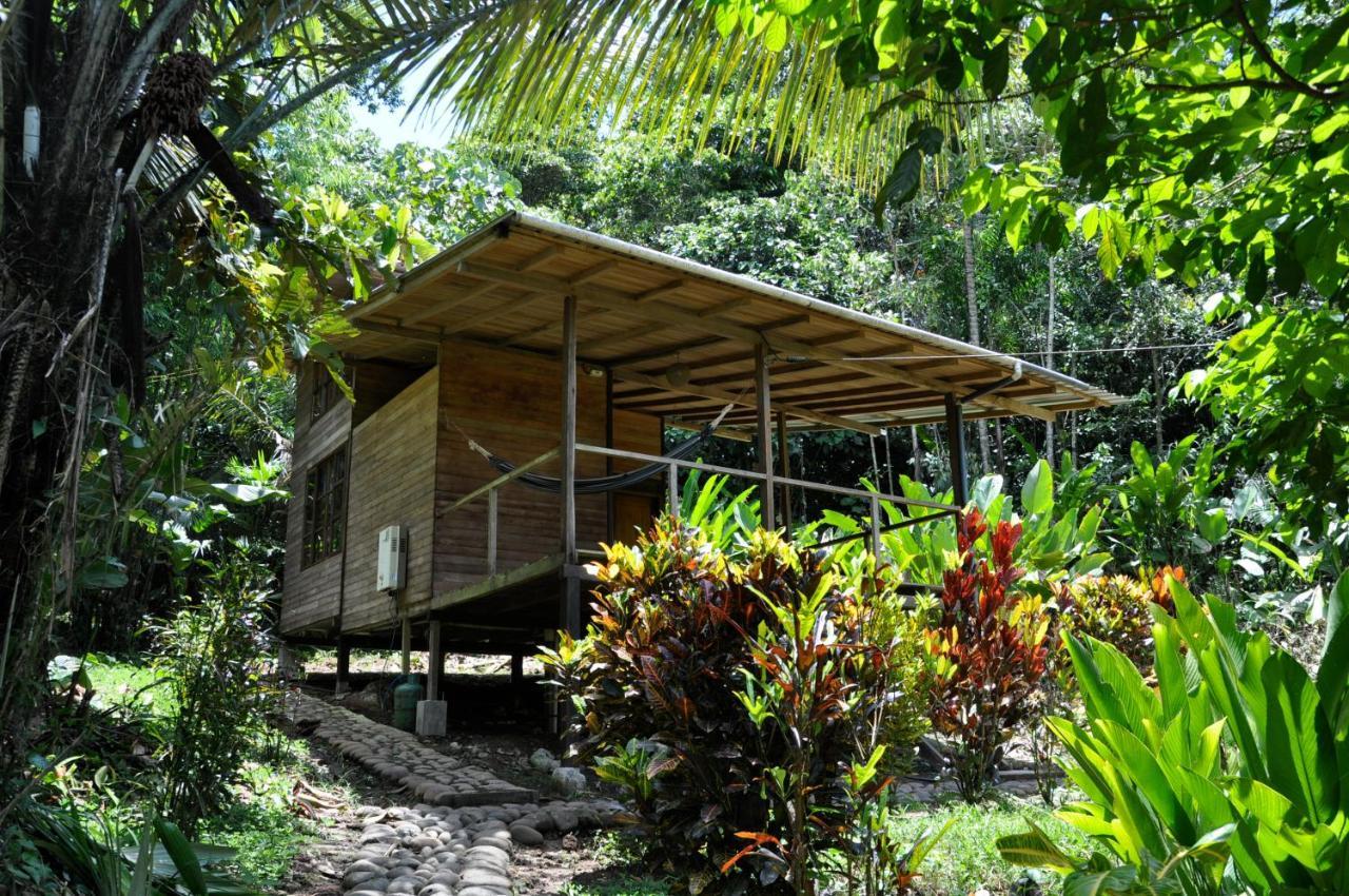 Huella Verde Rainforest Lodge Canelos Ngoại thất bức ảnh